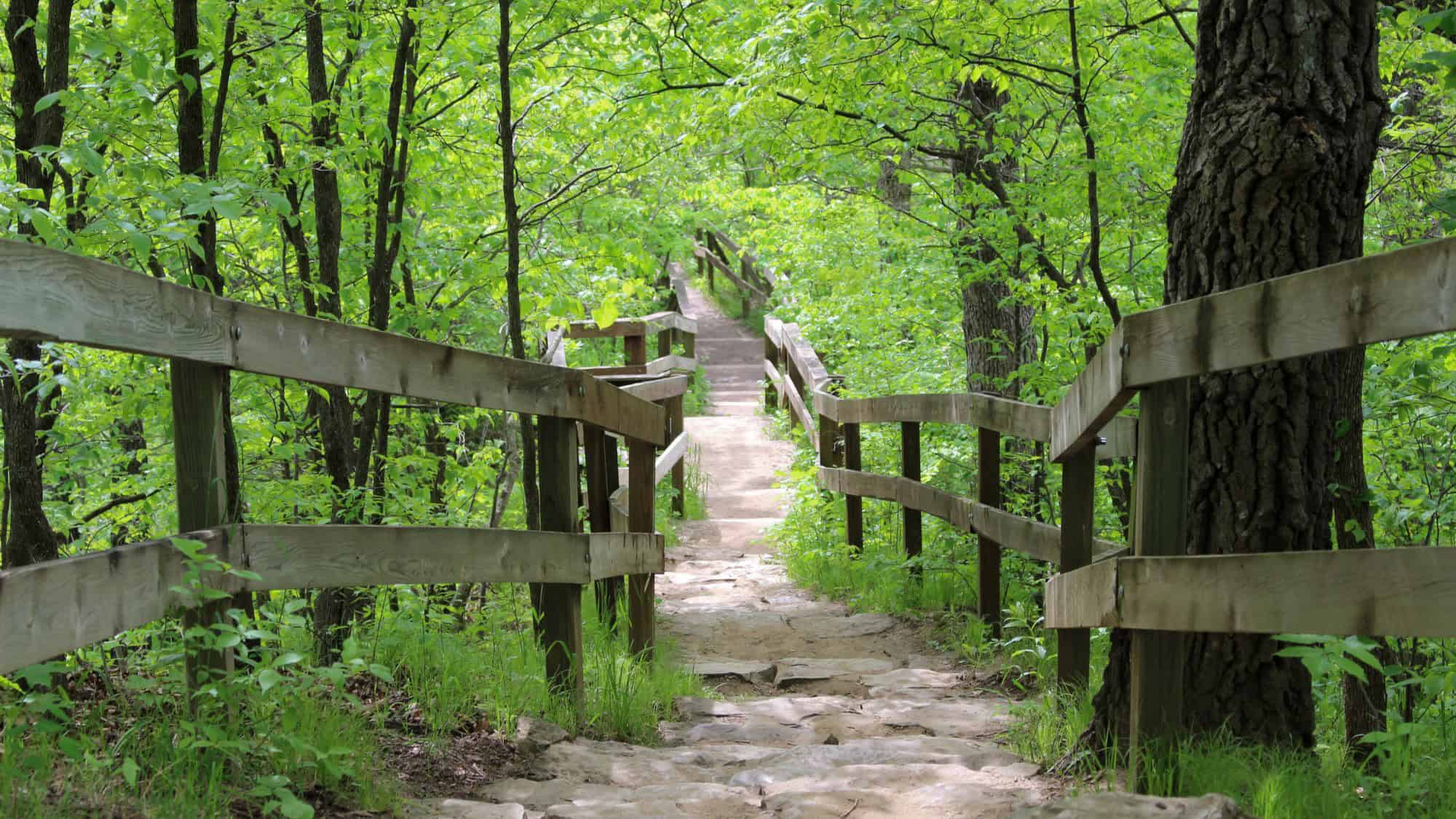 A stone stairway trail with wooden railings winds through lush, vibrant green forest, inviting hikers into the shady woodland canopy.