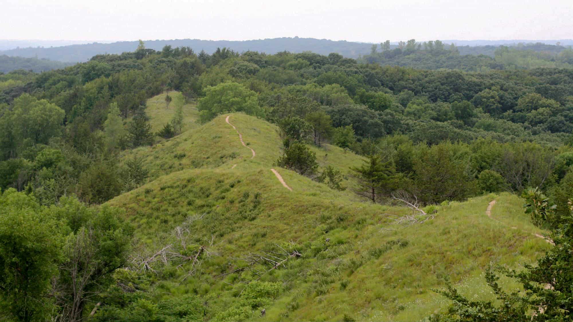 A narrow dirt trail winds over a ridge in the lush, green Loess Hills, surrounded by dense trees and rolling forest in the distance under a hazy sky.