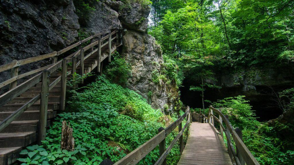 A wooden boardwalk and stairway curve through dense green forest and past rugged limestone cliffs, leading into the entrance of a dark cave at Maquoketa Caves State Park.