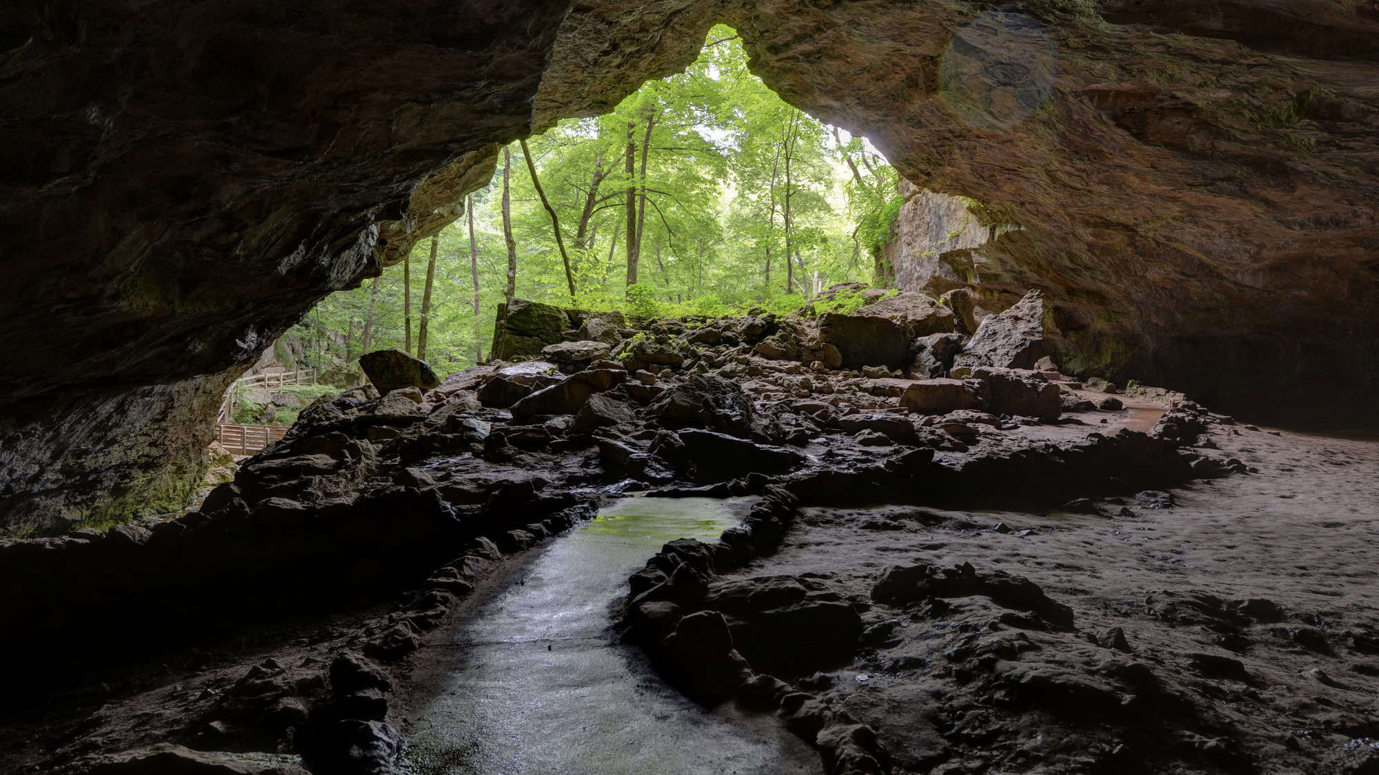 A walkway inside one of the caves withn Maquoketa Caves State Park, surrounded by green foliage and a peaceful natural setting outside the cave entrance. 