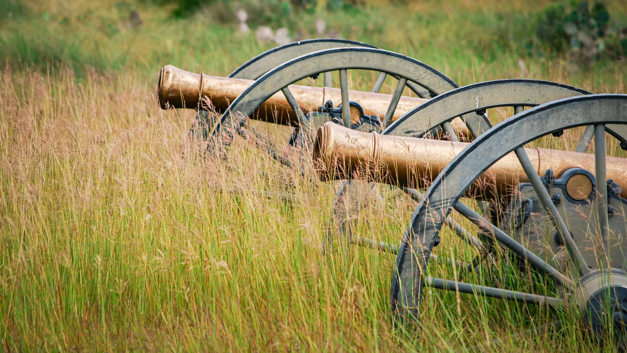 A row of bronze cannons with large wooden wheels sits in tall grass at Palo Alto Battlefield National Historical Park, evoking the site's Civil War history.