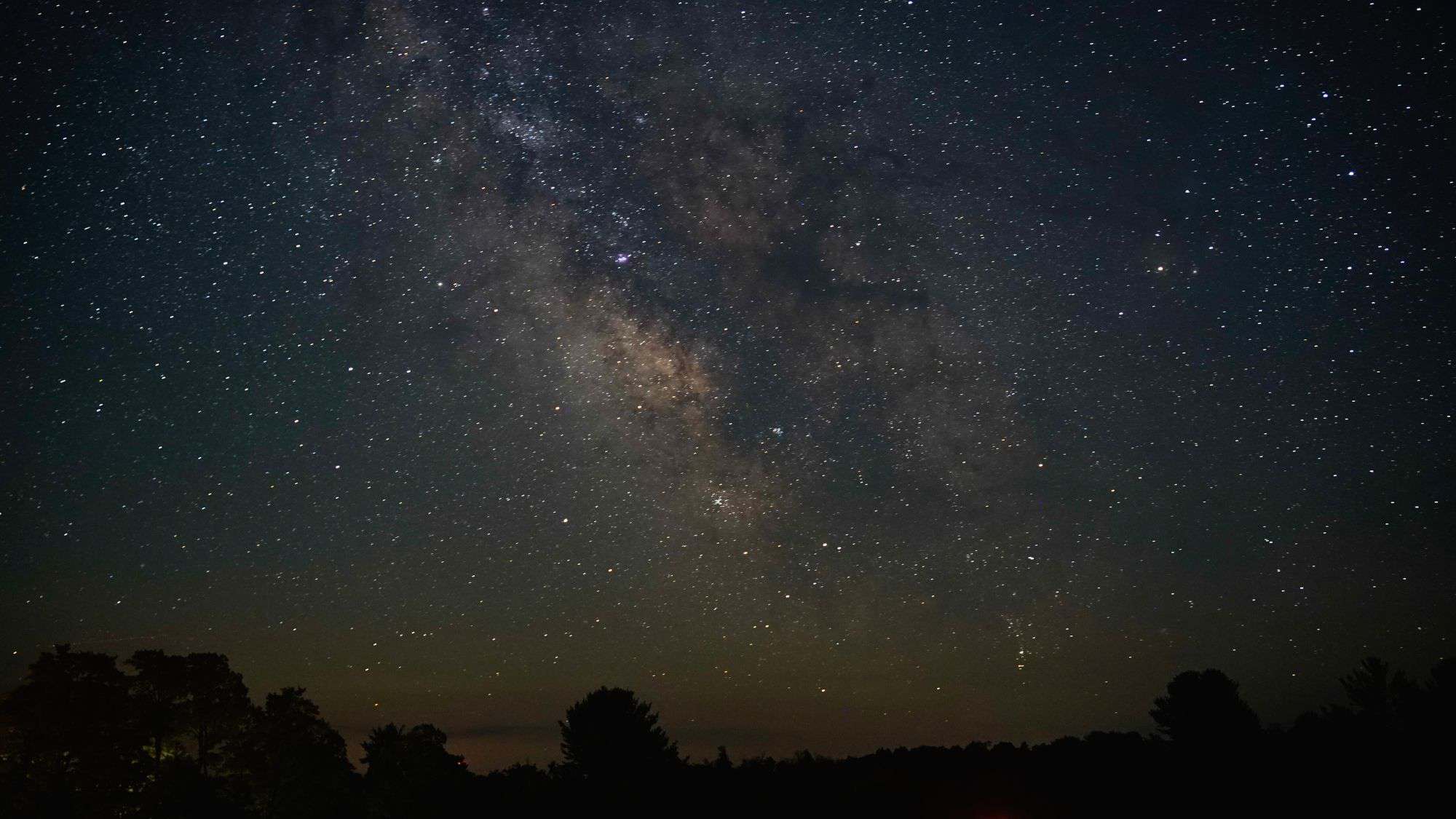 The night sky glows with stars and a dense stretch of the Milky Way, arching above a silhouetted treeline, creating a cosmic contrast between earth and galaxy.