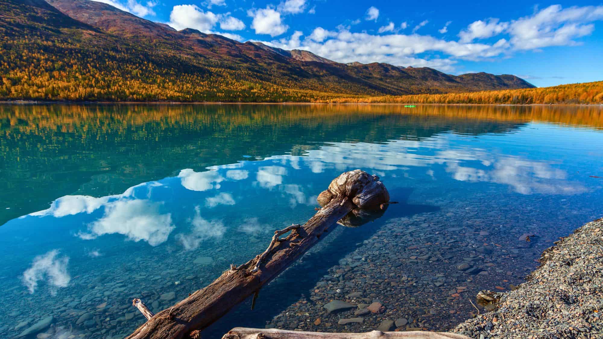 A calm, teal-blue lake reflects the golden autumn foliage and mountain ridges under a bright blue sky dotted with clouds. A weathered log juts into the water from a rocky shore.