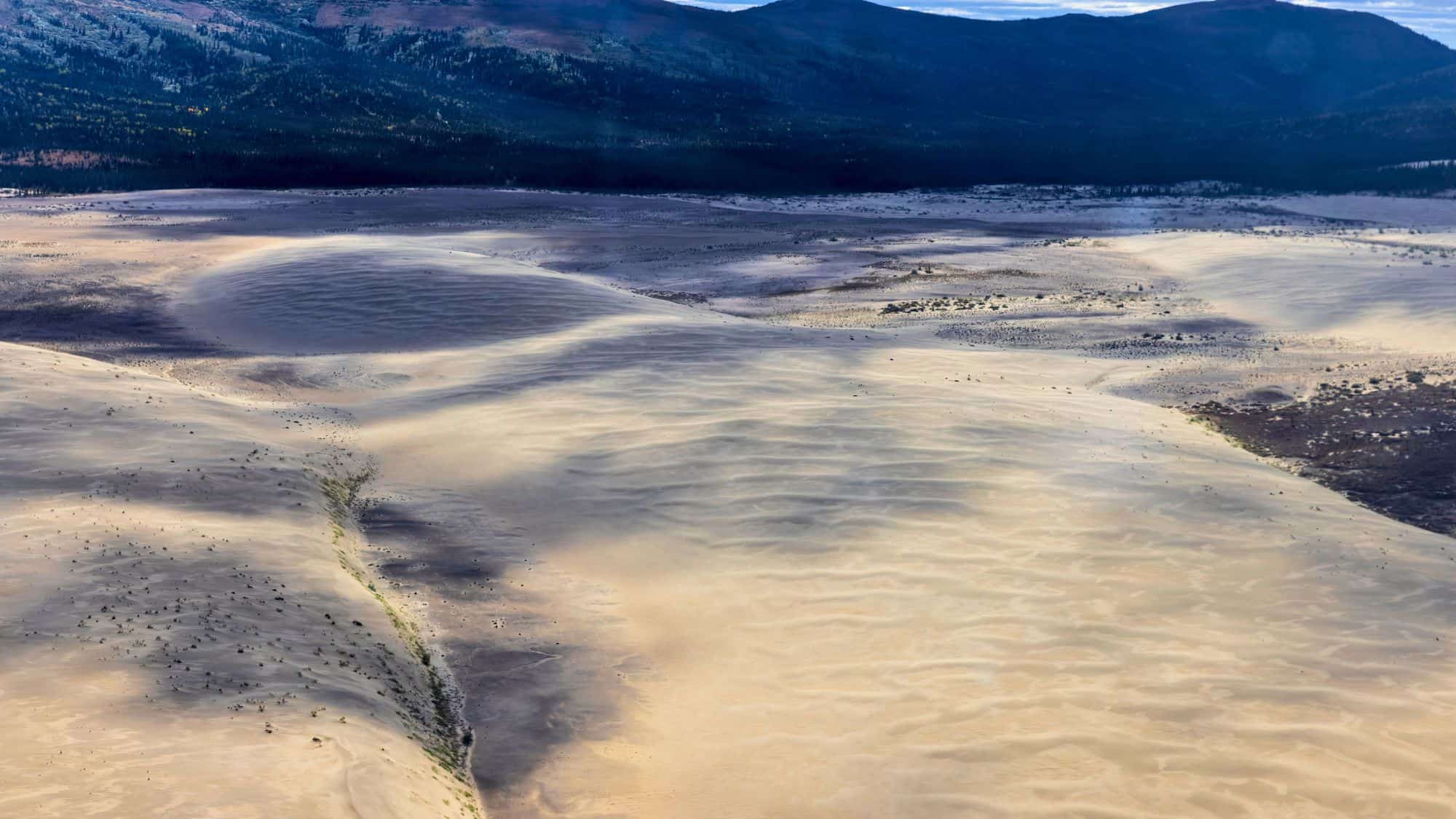 Sweeping aerial view of wind-sculpted sand dunes resembling waves, with patches of vegetation and distant forested ridges at the edge of a northern desert landscape.