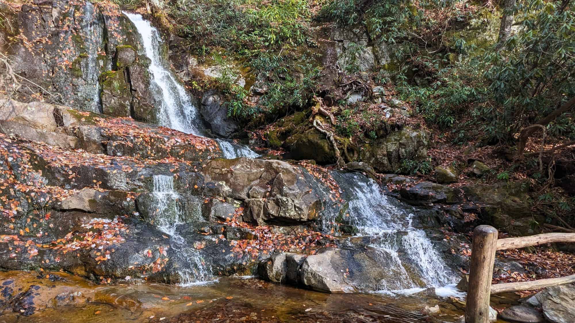 A small, tiered waterfall flows over mossy rocks strewn with orange fall leaves, framed by dense rhododendron and a rustic wooden railing.