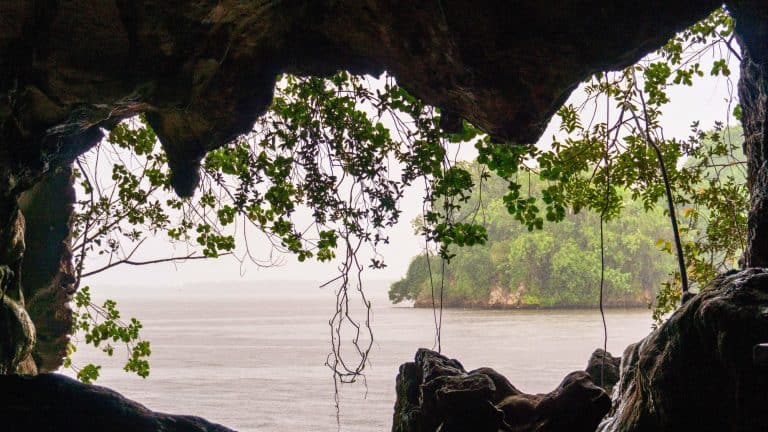 Looking out from a dark rocky cave draped in vines toward a misty, rain-covered river and distant tree-covered island.