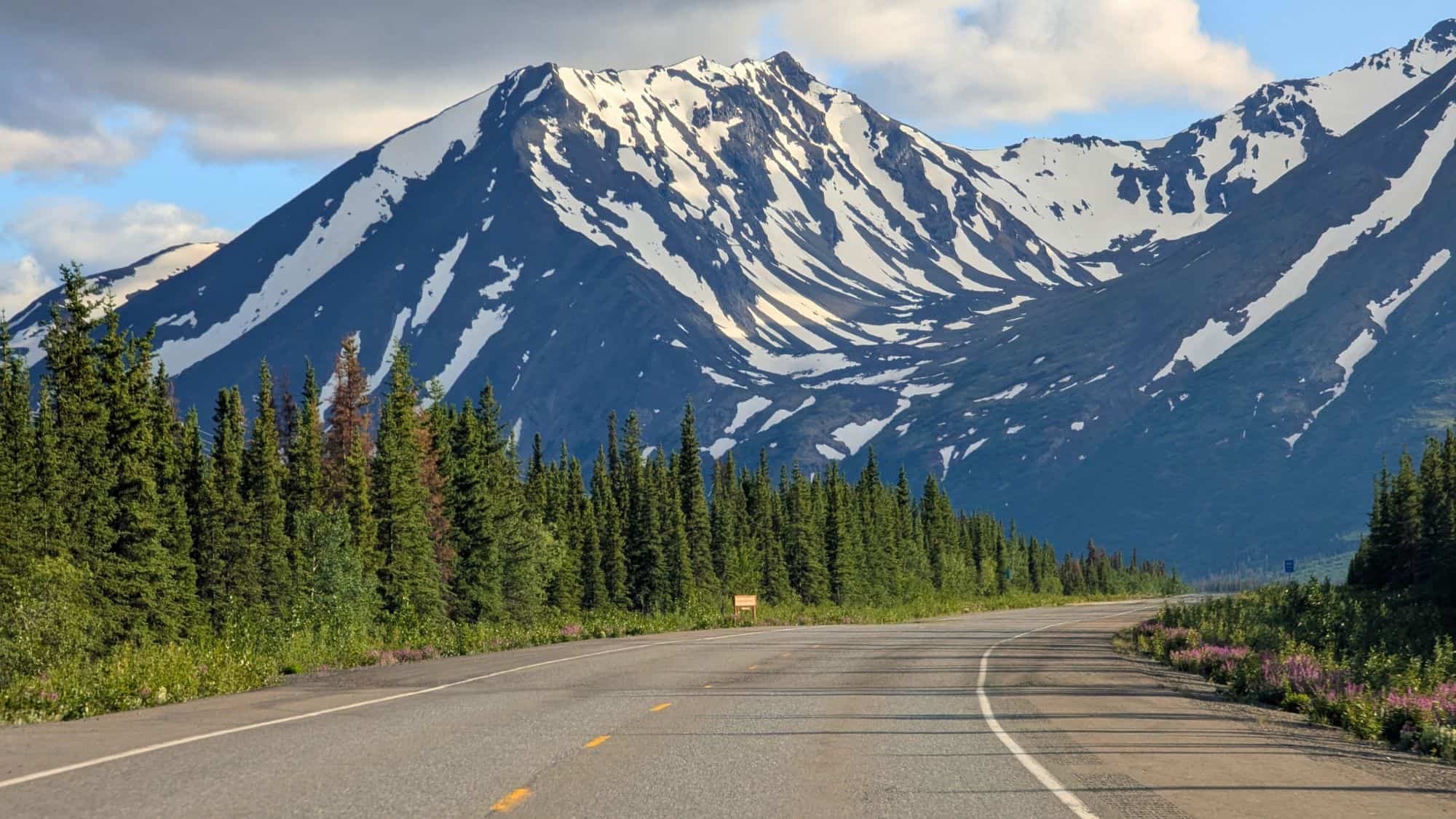 A winding highway cuts through a dense spruce forest, leading toward a towering, snow-streaked mountain under soft afternoon light.