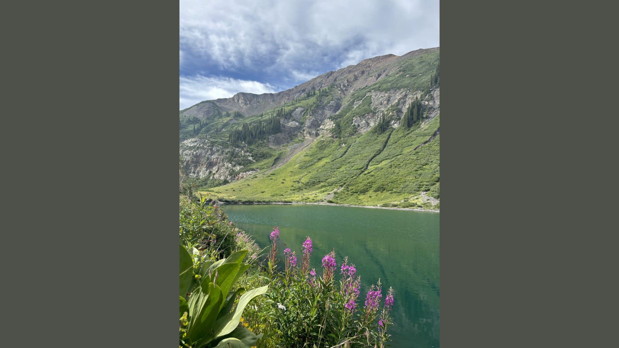 A serene green lake is surrounded by wildflowers, including bright pink fireweed in the foreground, with rugged mountains covered in alpine greenery under a partly cloudy sky.
