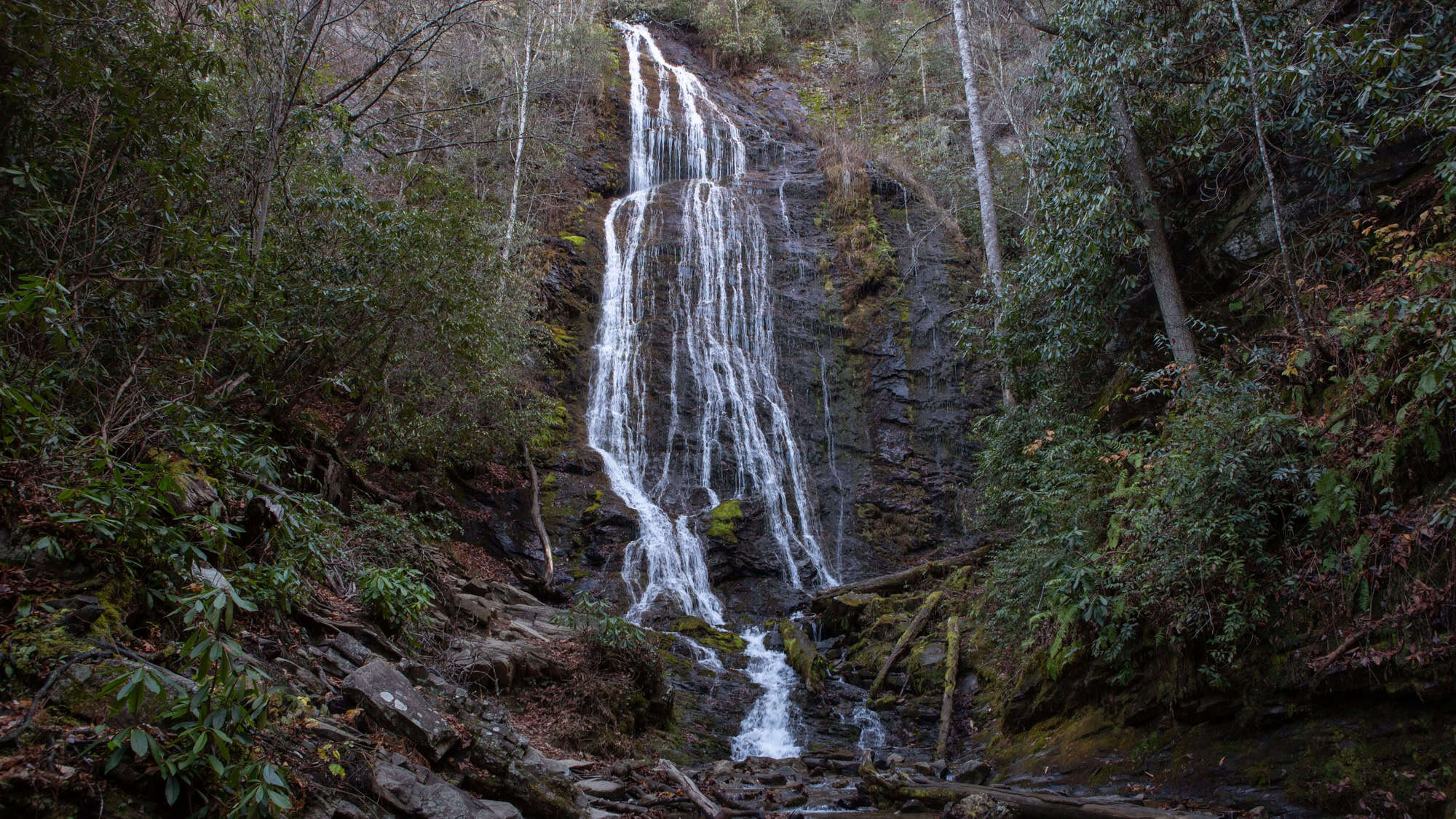 A steep, rocky cascade tumbles through thick greenery and moss-covered stones in a dense forest setting, with water fanning out over dark boulders.