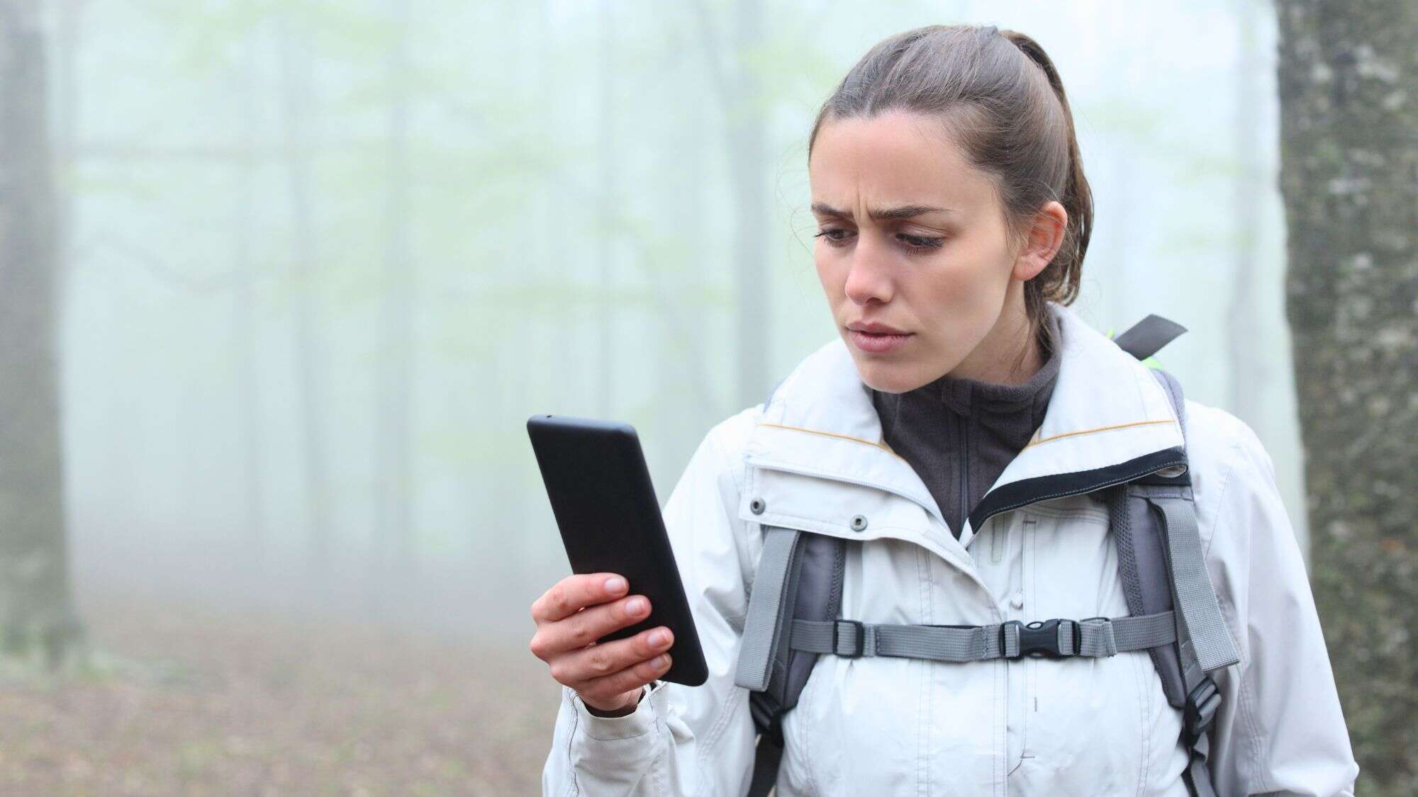 A concerned hiker stares at a phone screen while standing alone in a misty forest, suggesting uncertainty or lack of signal in the wilderness.