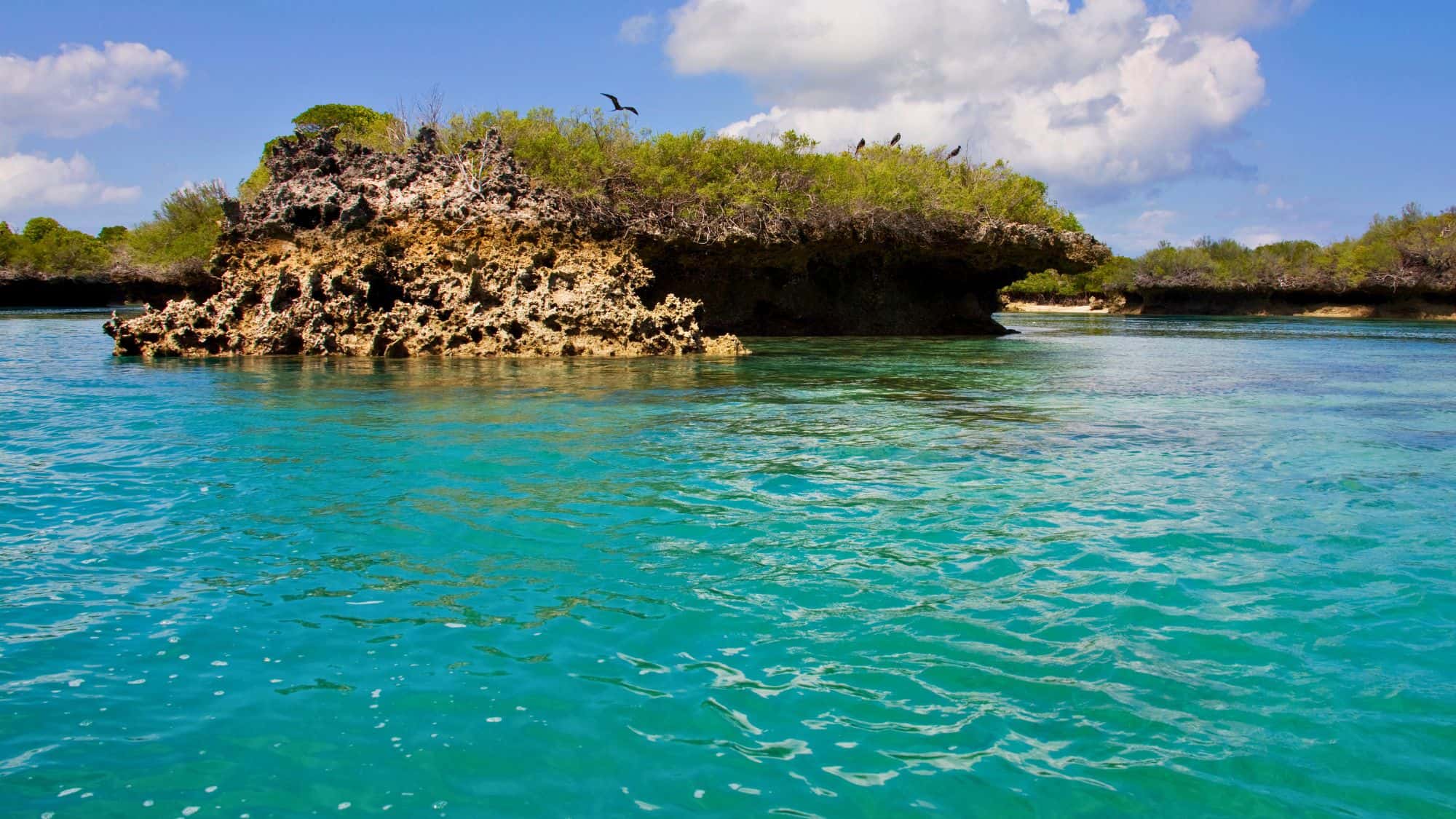 A jagged coral rock formation covered in greenery juts into clear turquoise waters under a bright blue sky.