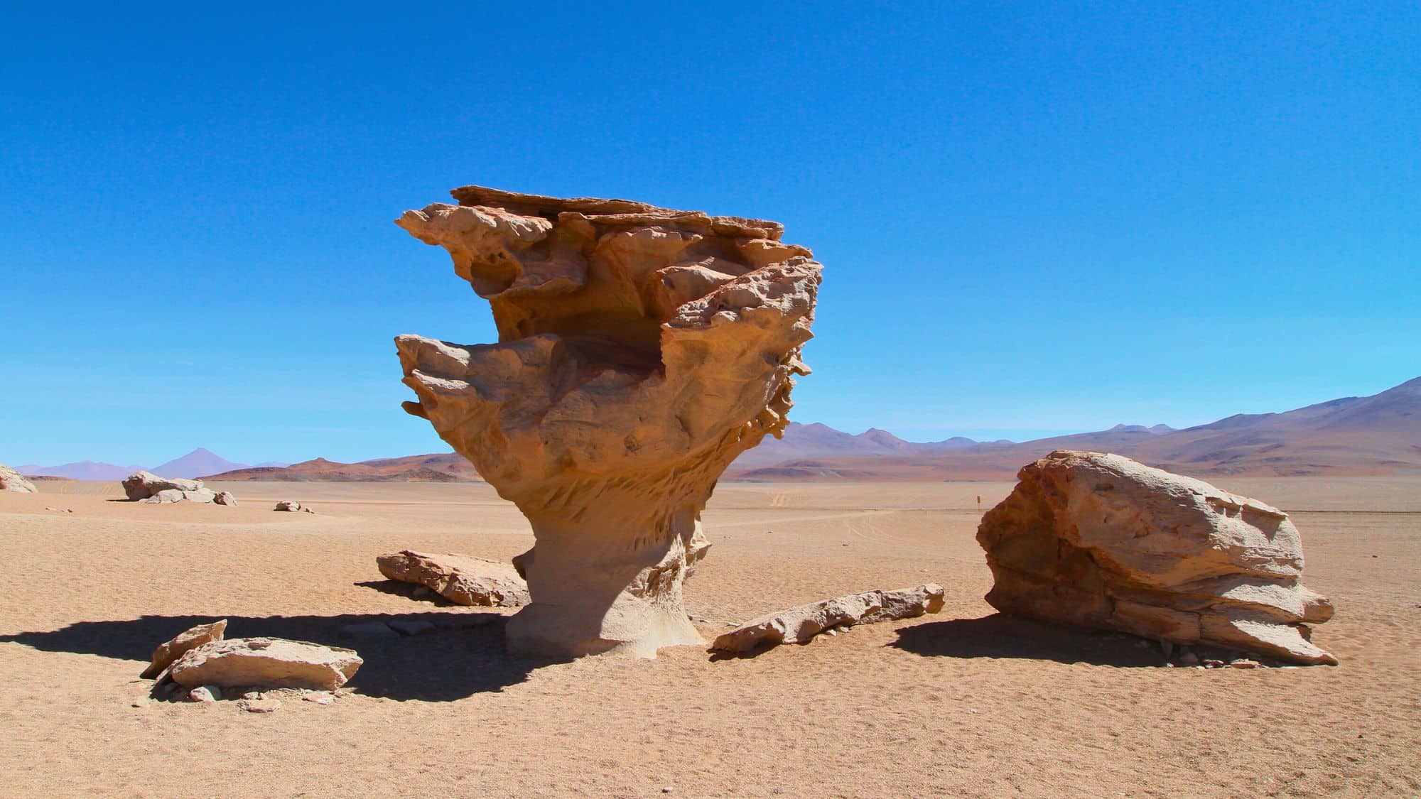 A tall, wind-sculpted rock formation shaped like a tree rises from the sandy expanse of the Siloli Desert under a clear blue sky.