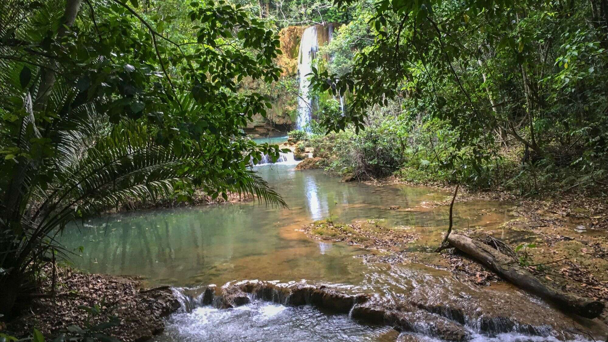 A secluded waterfall cascades into a clear pool surrounded by dense tropical greenery and rocky ledges.