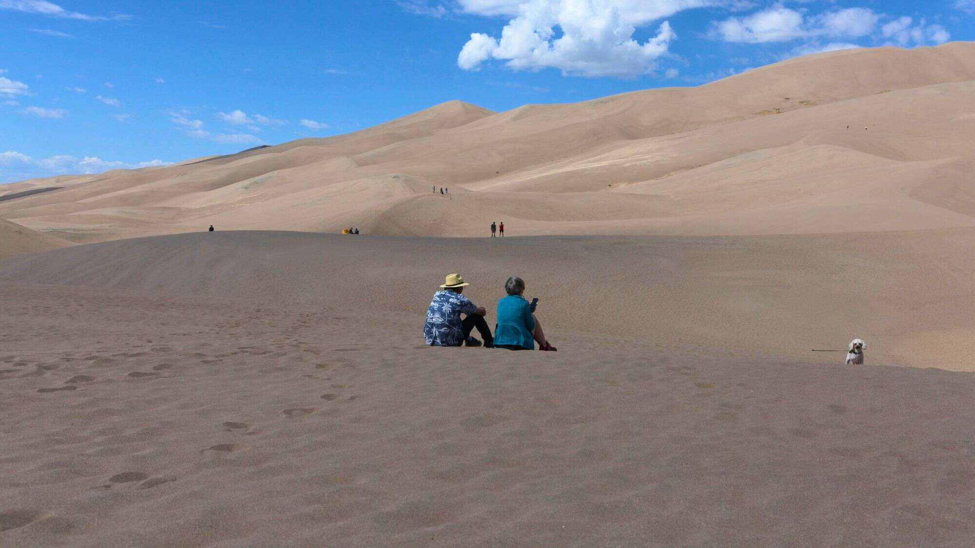 Two people sit on the soft sand with a small dog nearby, gazing out at the sweeping golden dunes under a bright blue sky.