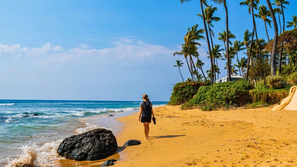 A woman strolls barefoot along a golden sandy beach with gentle waves and tall palm trees swaying under a clear blue sky.