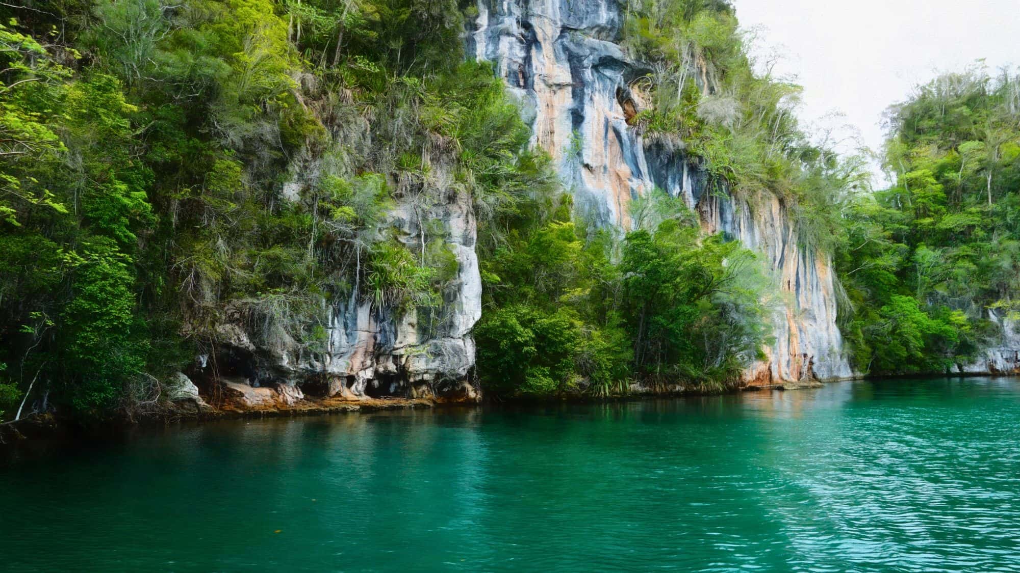 Sheer limestone cliffs draped in lush green vegetation rise above calm emerald waters.