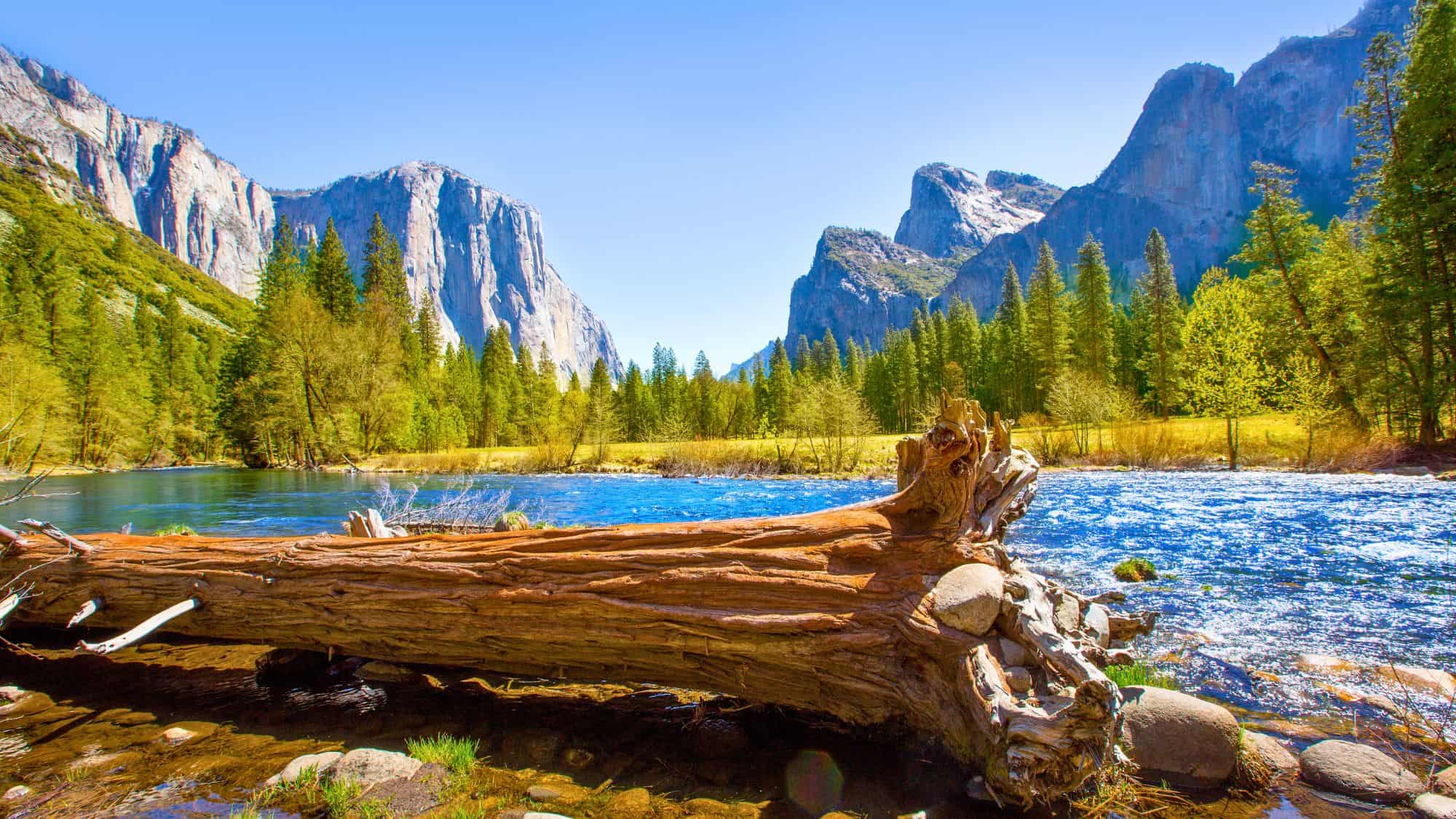 A fallen tree lies beside a sparkling river with iconic granite cliffs and lush green pines in Yosemite Valley.
