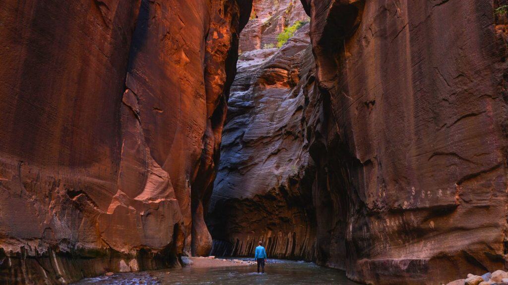A solitary hiker in a blue jacket stands ankle-deep in a narrow, shadowed canyon stream surrounded by massive red rock walls.