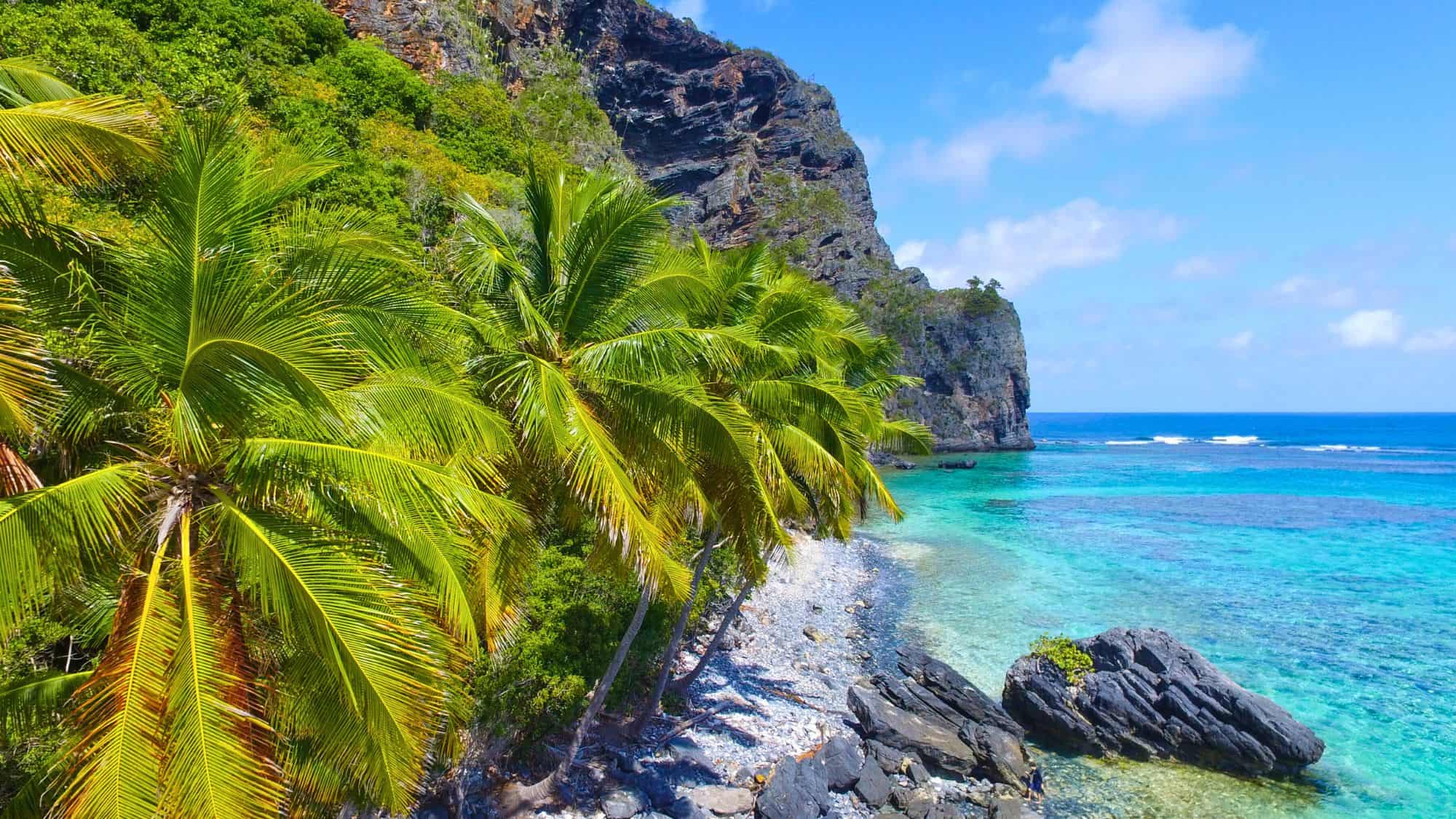 Leaning palm trees line a rocky shoreline with crystal-clear turquoise water and towering cliffs.
