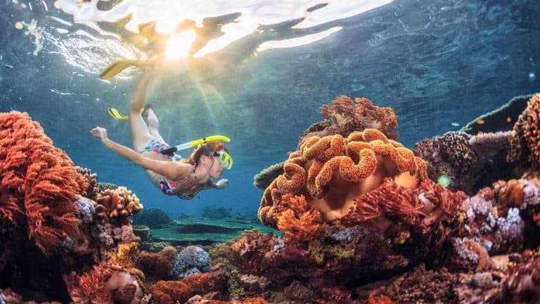12 Incredible Coral Reefs For Your Snorkeling Bucket List