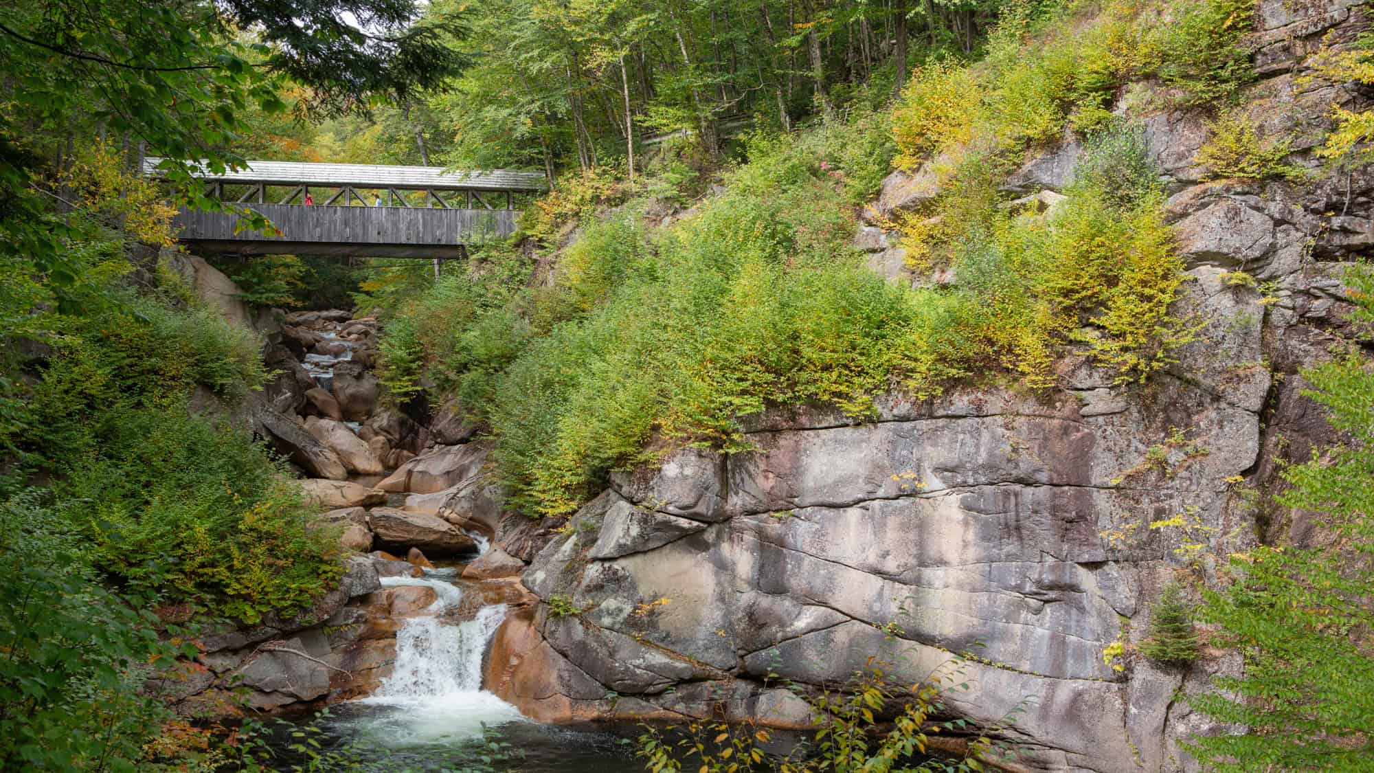 A wooden covered bridge spans a rocky gorge where a small waterfall flows between mossy stone walls and green foliage.