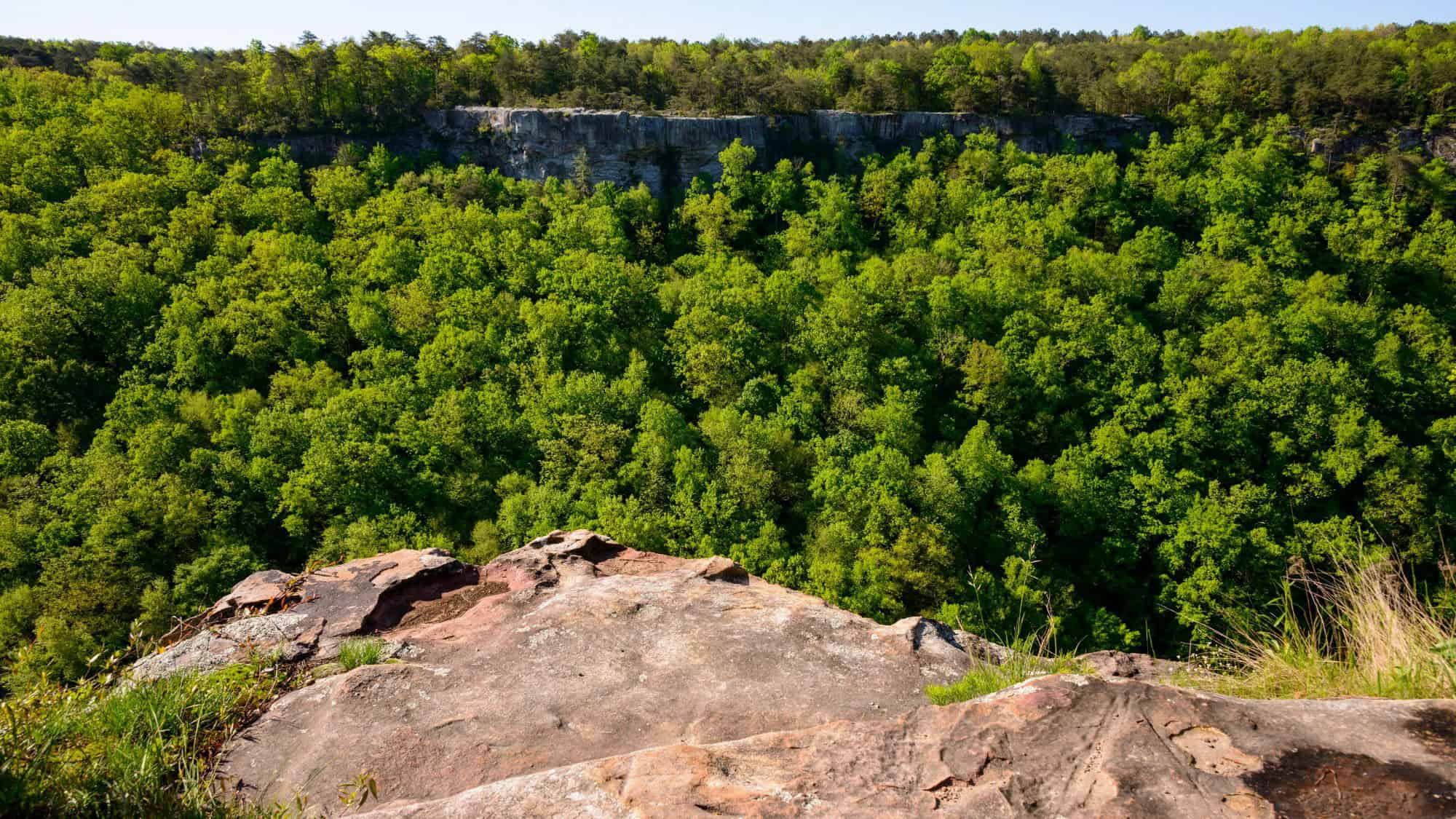 A rocky overlook provides a view of a dense green forest and a distant cliff line.