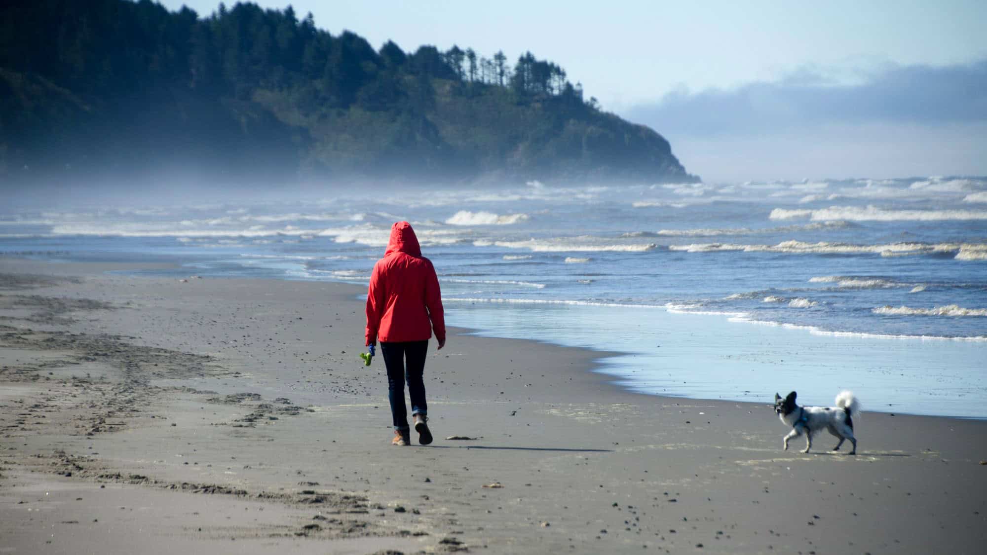 A person in a red jacket walks along a misty beach while a small black and white dog trots playfully beside them.