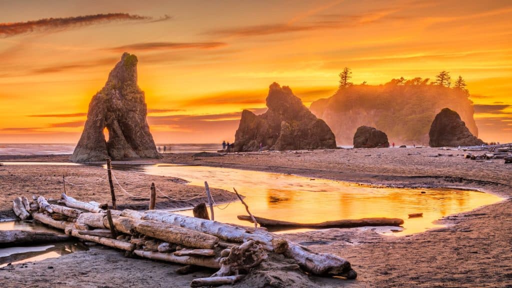 Sea stacks rise from the sand and driftwood logs lie along the shore, glowing in the fiery orange light of sunset.