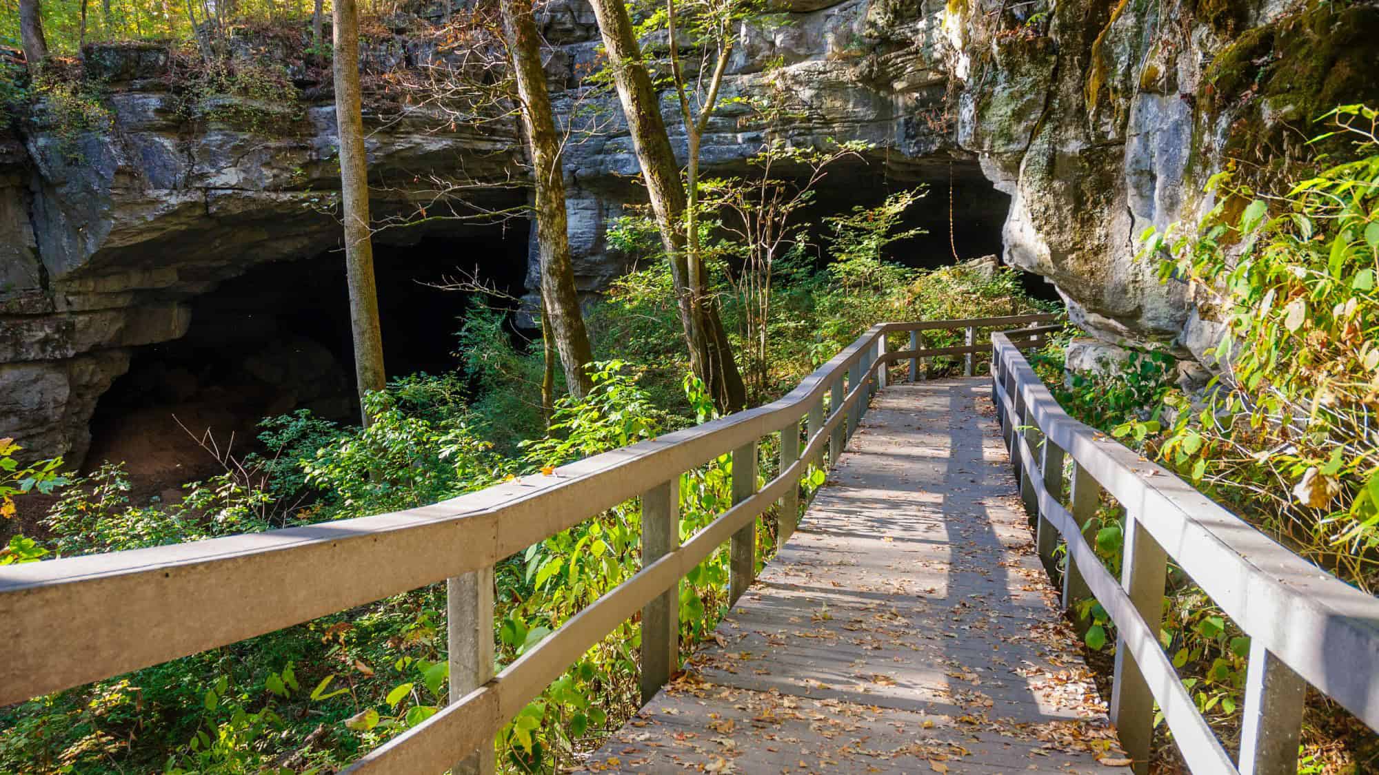 A wooden walkway leads toward the entrance of a large cave surrounded by trees and rock formations.