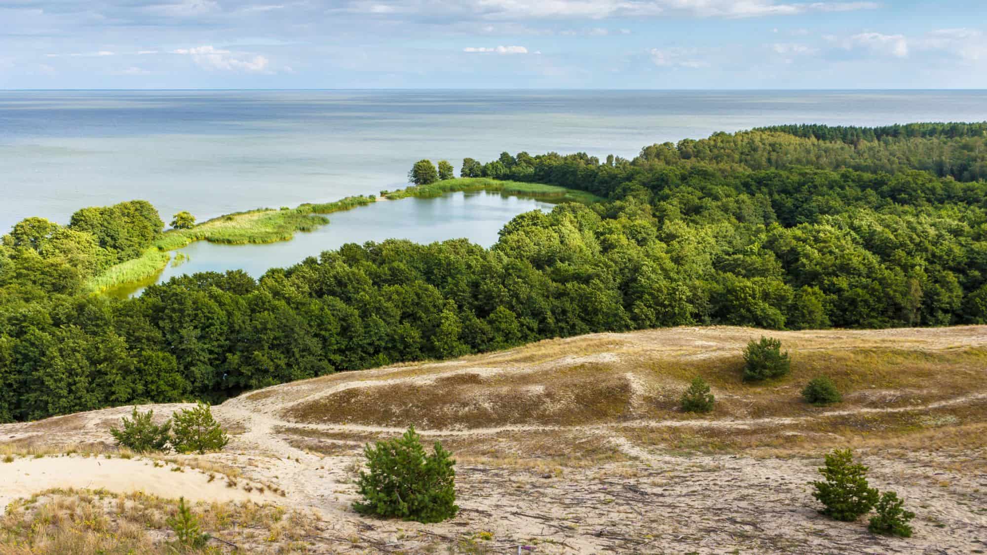 A coastal lagoon bordered by lush forest and sandy dunes stretches toward a calm, pale blue sea under soft daylight.