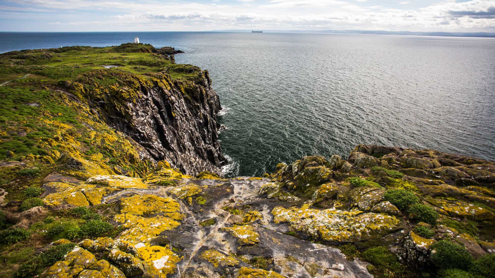 Dark rocky cliffs covered in yellow-green moss drop steeply into the ocean, with a white lighthouse visible in the distance.