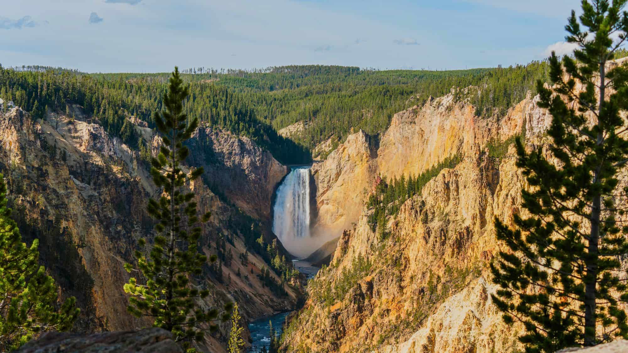 A tall waterfall plunges dramatically into the Yellowstone River, framed by steep golden canyon walls and forested cliffs.