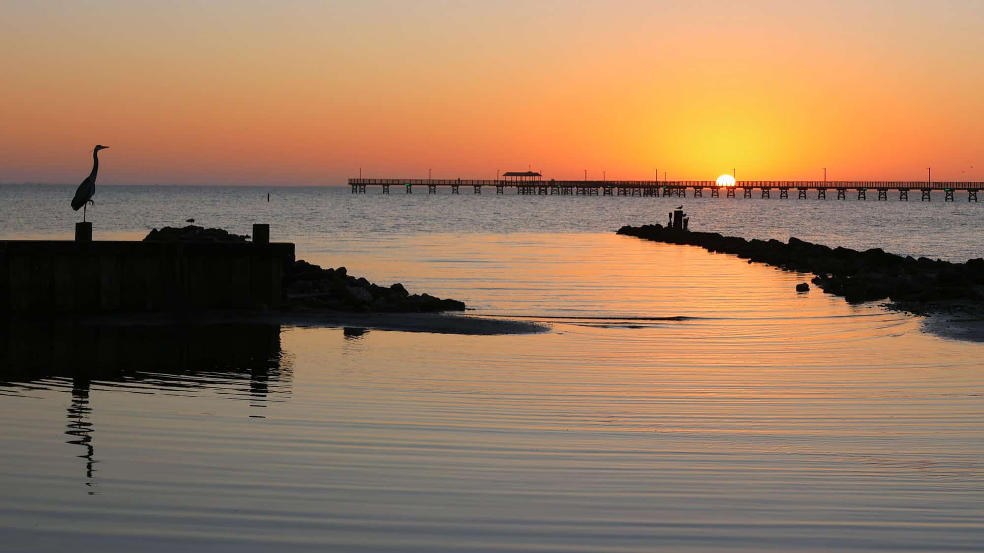 The sun sets in a golden glow over calm waters with a long pier stretching across the horizon, while a heron stands in silhouette on the left.