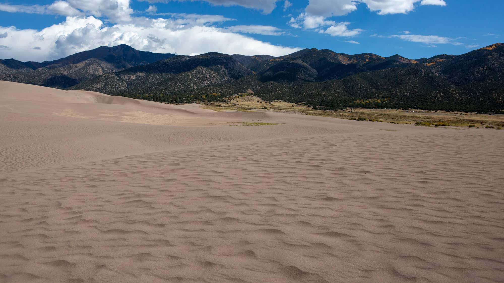 Rolling sand dunes stretch toward a backdrop of forested mountains and a partly cloudy sky.