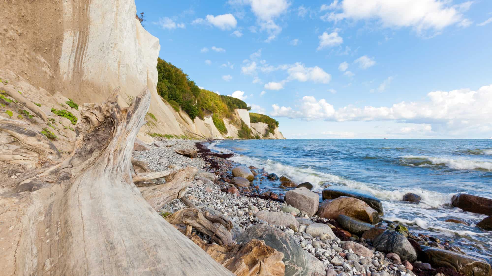 White chalk cliffs rise above a rocky beach dotted with driftwood, as waves crash along the shoreline under a bright sky.