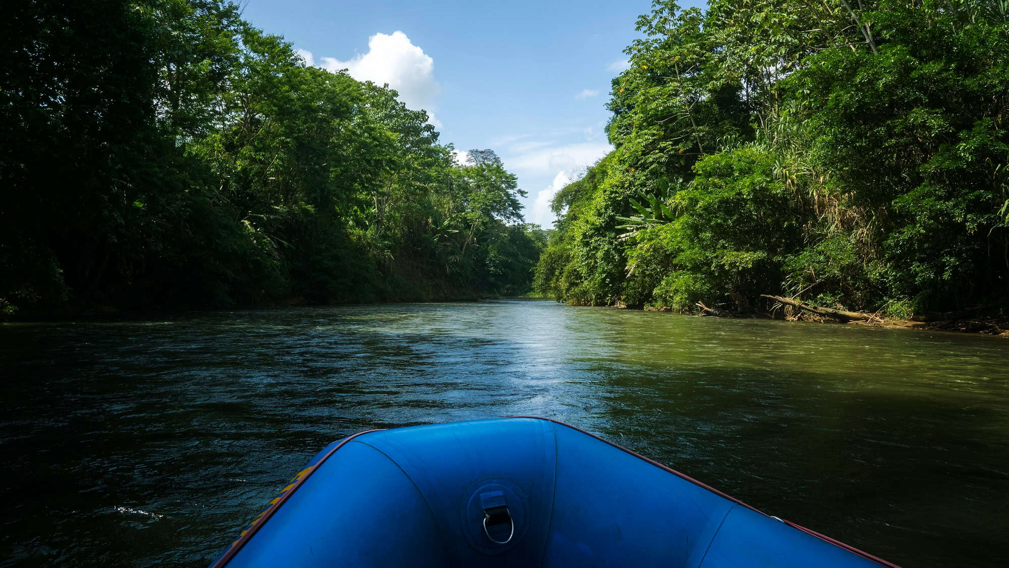 The front of a blue raft floats down a calm jungle river, surrounded by lush green forest.
