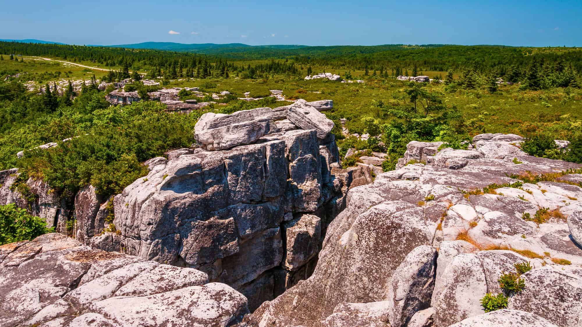 Massive, weathered sandstone formations rise from a lush, green plateau with distant forested hills under a clear blue sky, capturing the rugged beauty of West Virginia's Dolly Sods Wilderness.