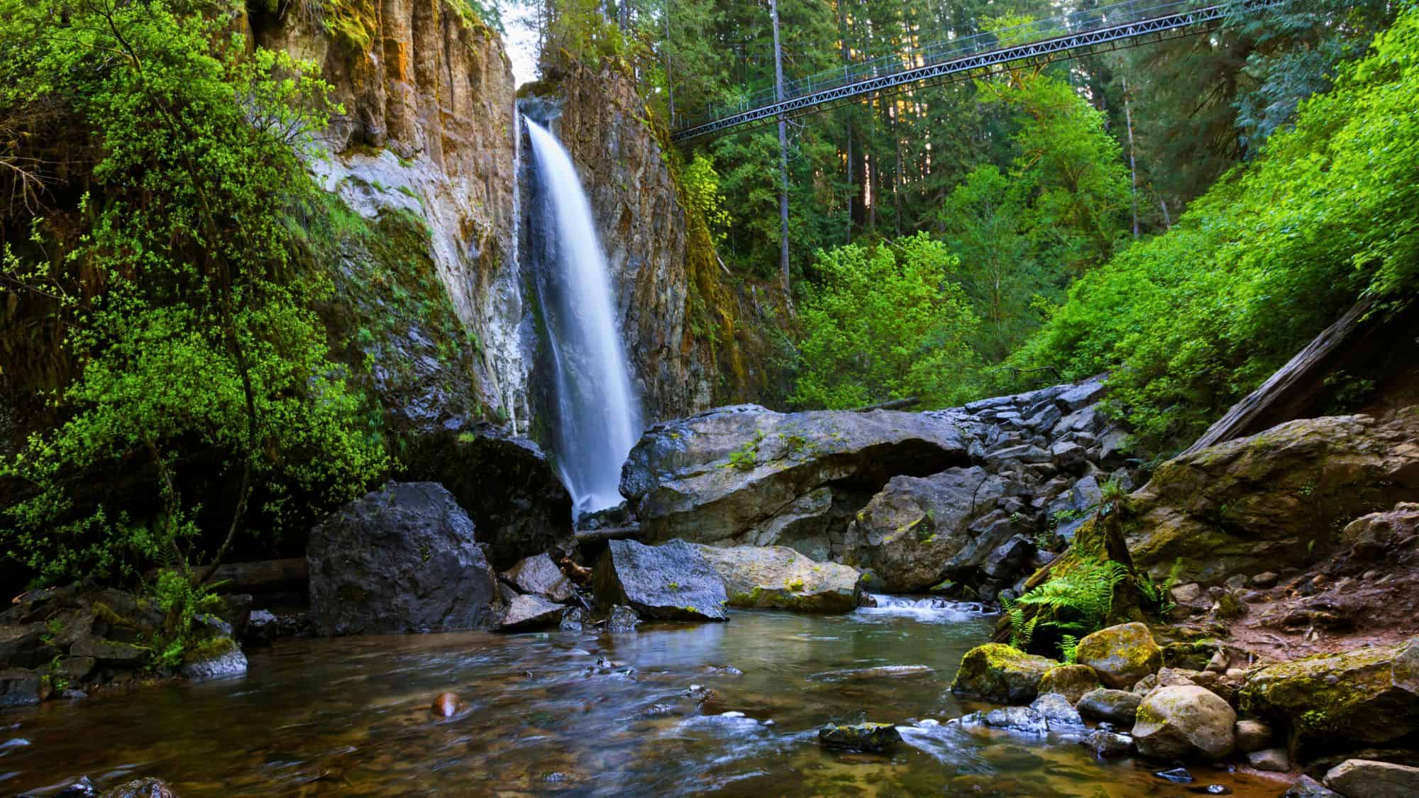 A narrow, elegant waterfall cascades from a cliffside into a rocky stream below, framed by lush green trees and a footbridge above — a serene forest escape.
