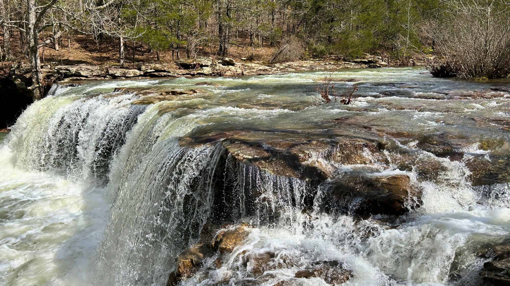 A short but wide waterfall rushes over rocky ledges in a wooded area with bare and evergreen trees, suggesting early spring or late fall in a temperate forest.