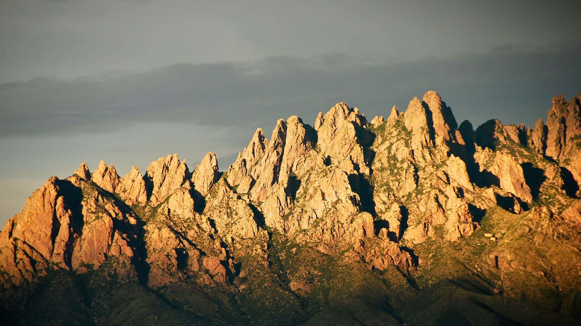 Jagged rock spires of the Organ Mountains glow in golden light, with deep shadows highlighting their sharp vertical formations against a moody sky.