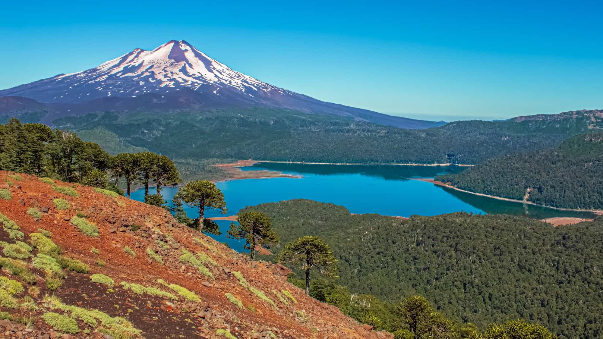 A snow-capped stratovolcano towers over a deep blue lake surrounded by dense forest and red volcanic soil in the Chilean Andes.