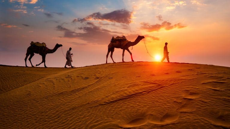 Two camels and their handlers walk along rippled sand dunes with the setting sun casting a golden backlight and colorful clouds overhead.