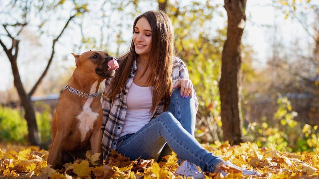 A woman in a plaid shirt sits on a blanket of yellow autumn leaves, smiling at her dog who’s mid-lick with its tongue out, surrounded by soft forest light.