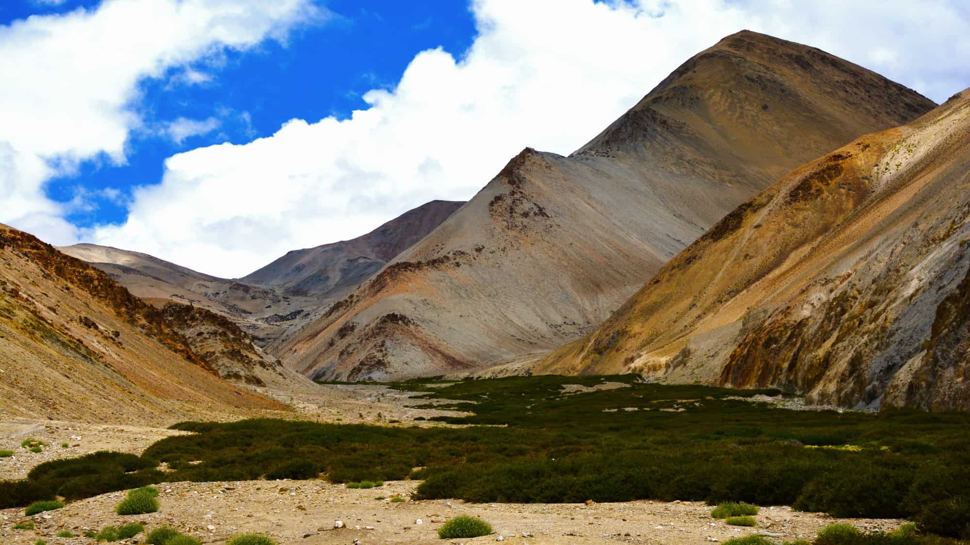 Rolling slopes in shades of tan and rust line a broad valley floor in the Himalayas, with low green shrubs scattered across the dry landscape.