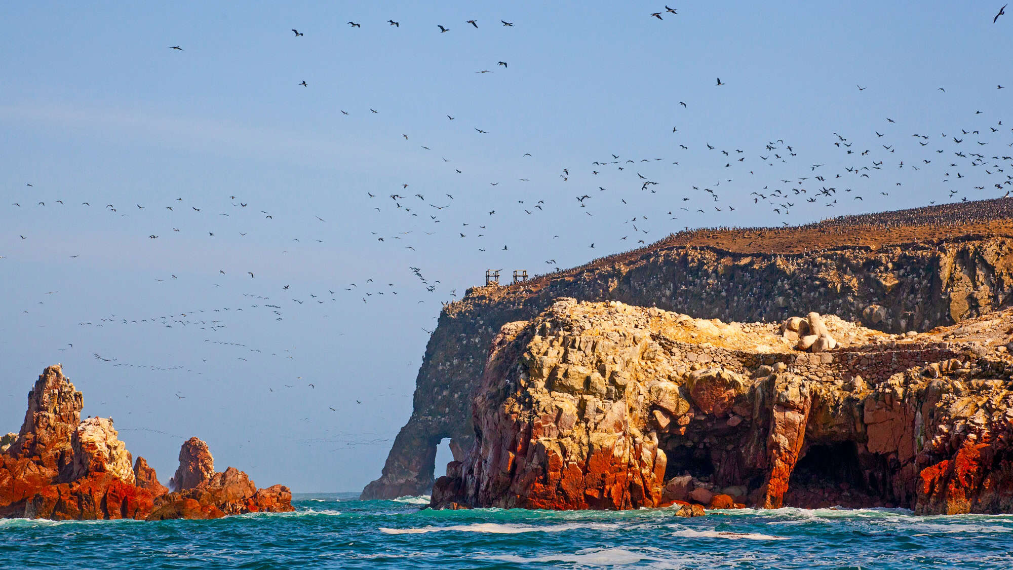 Thousands of seabirds swarm above and perch along the red-streaked rock cliffs and sea caves of the Ballestas Islands on a sunny day.