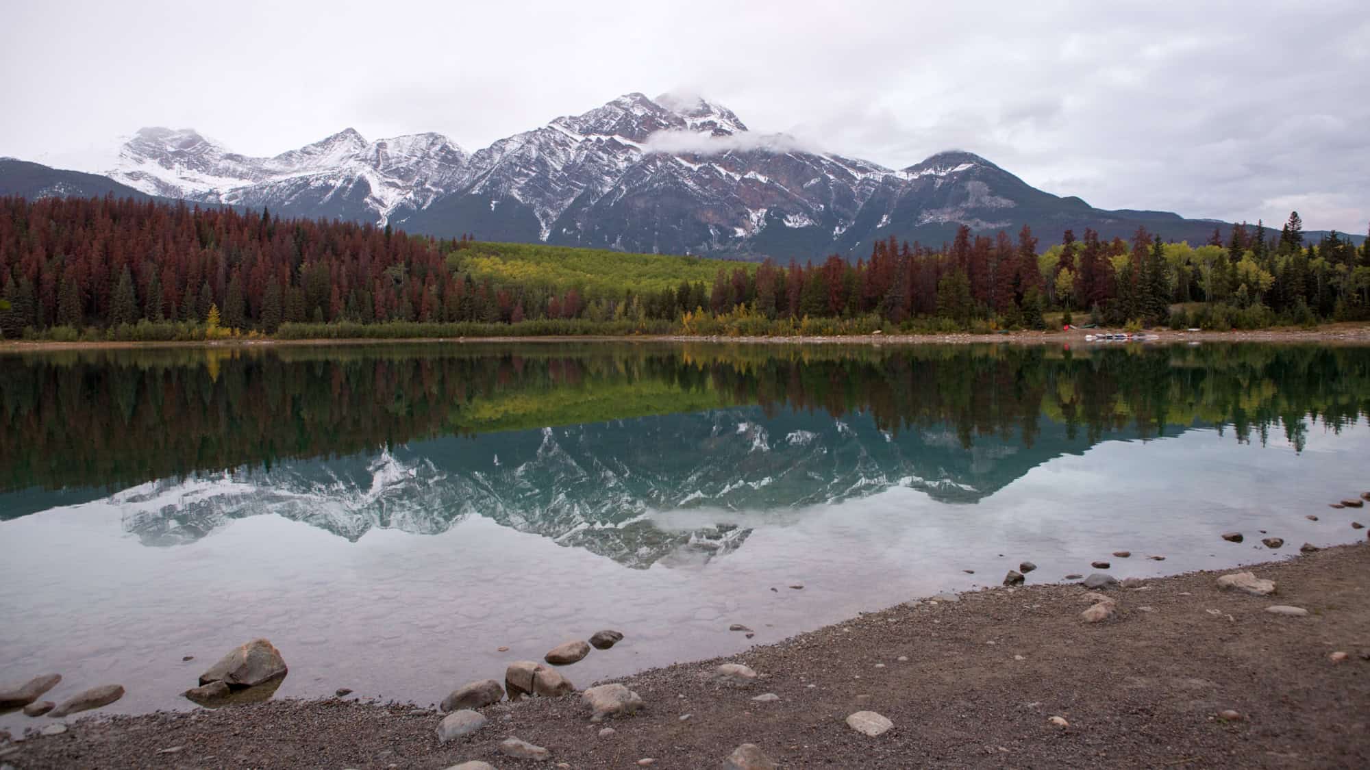 Snow-covered mountains rise behind a dense forest of red and green trees, all reflected clearly in the still, glassy lake in the foreground.