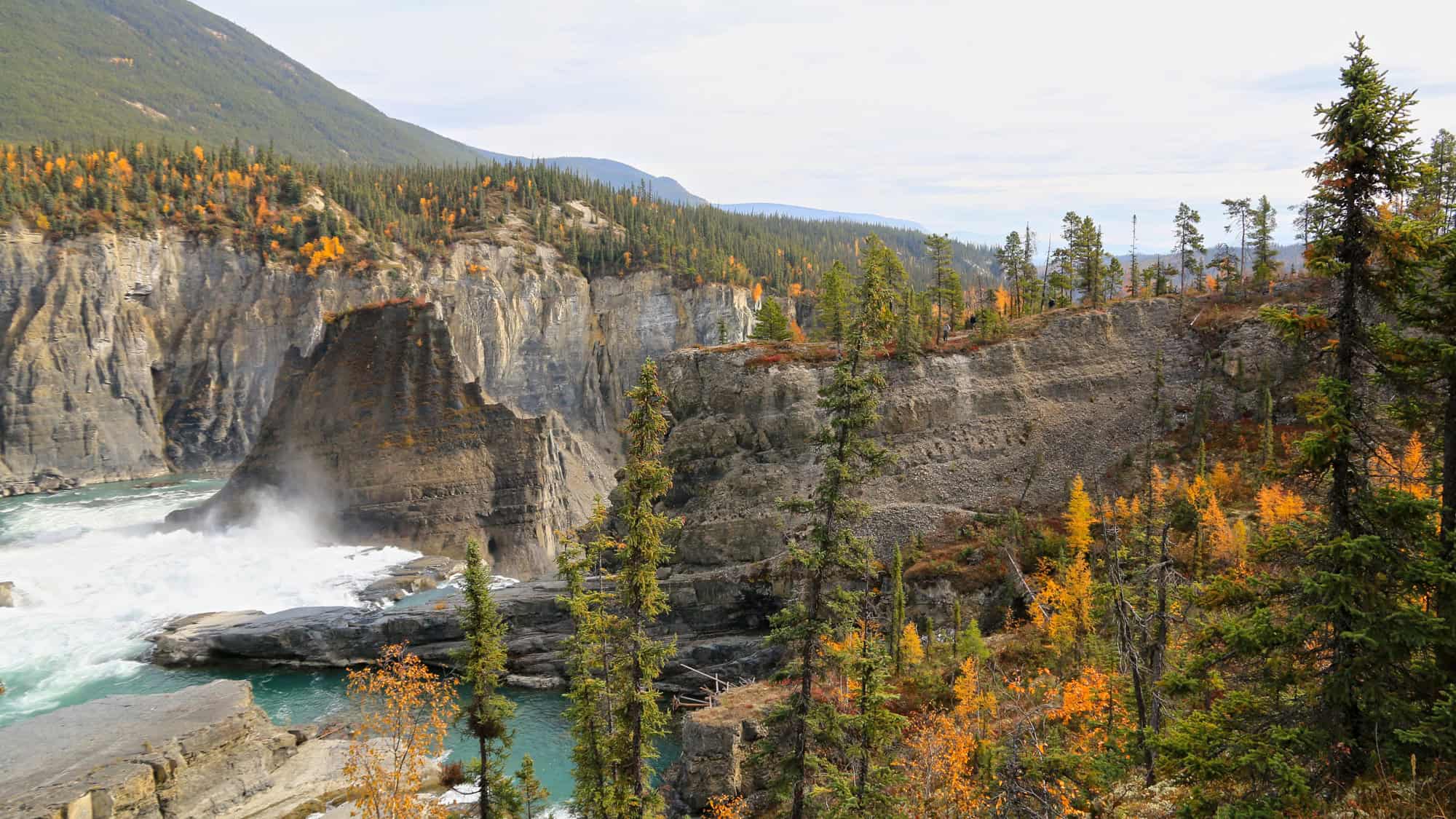 Jagged cliffs frame a powerful river rapid surrounded by evergreen trees and patches of golden autumn foliage in a rugged wilderness landscape.