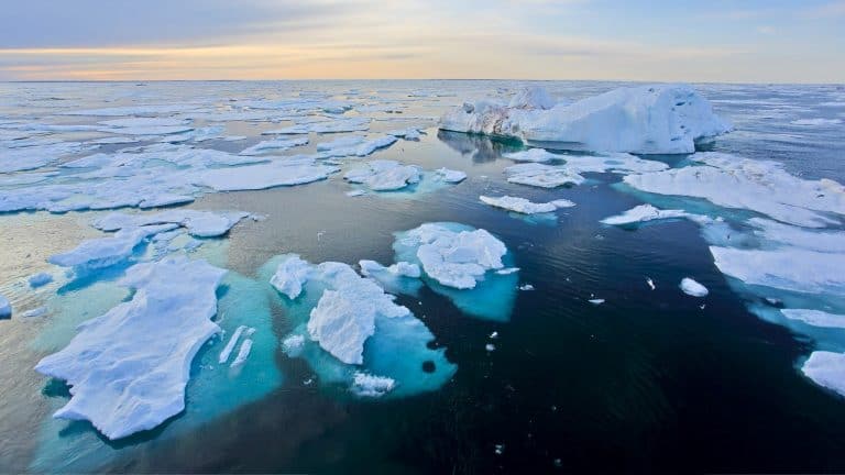 Floating sheets of sea ice drift across a dark ocean under a pastel sky, with glowing blue melt pools visible through the broken ice.