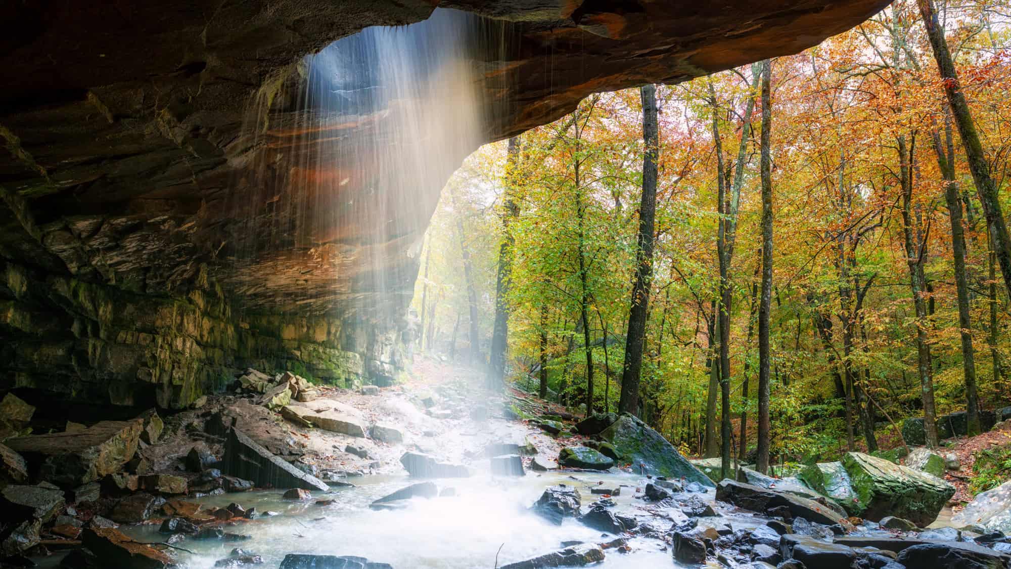 A gentle waterfall cascades from a rocky overhang into a shallow stream below, surrounded by mossy boulders and vibrant autumn forest.