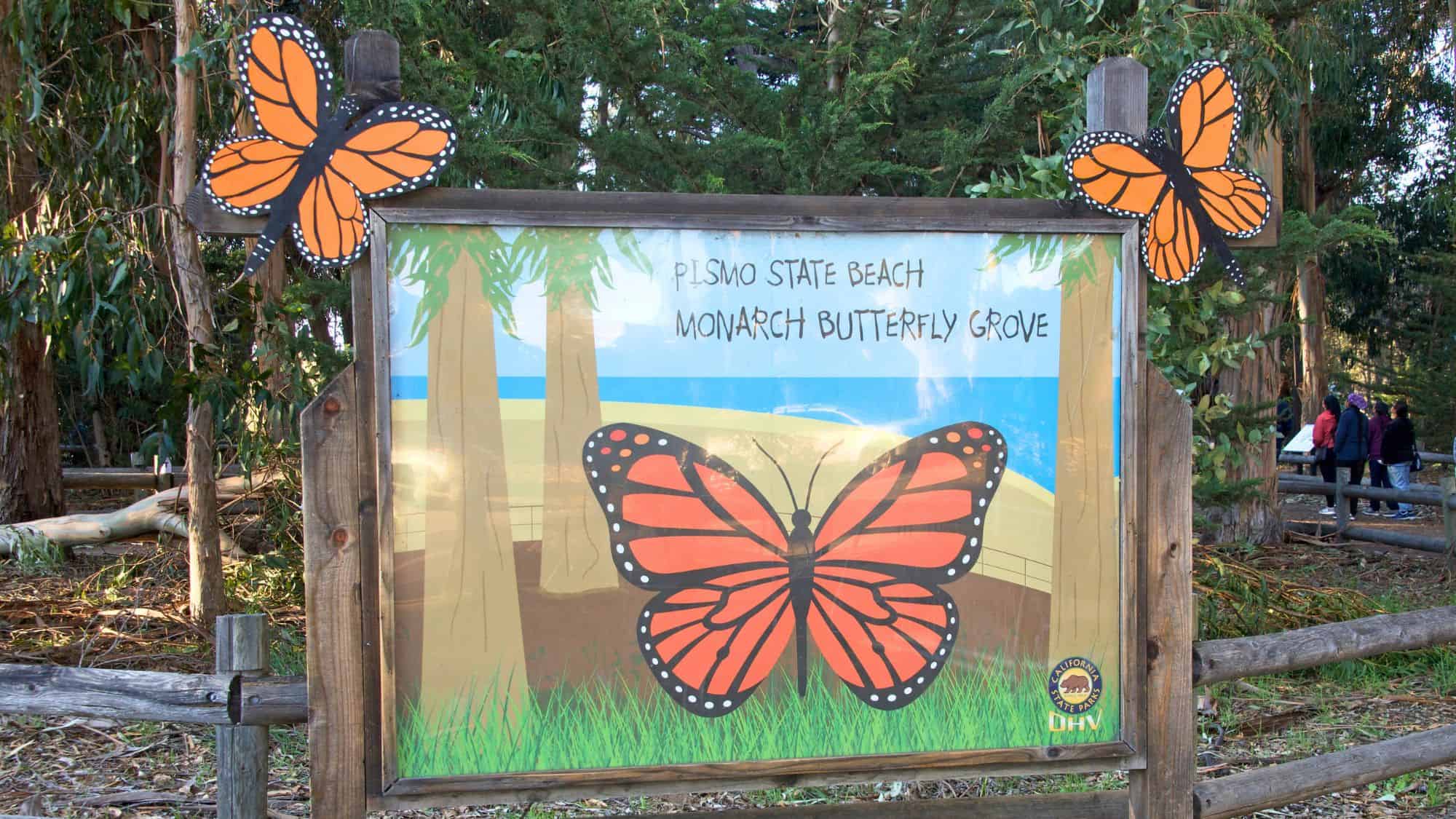 A colorful sign at Pismo State Beach welcomes visitors to the Monarch Butterfly Grove, decorated with large illustrated monarchs and surrounded by tall trees.